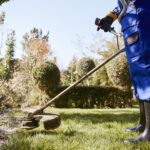 Giardinaggio a Donoratico: perché affidarsi a un professionista
